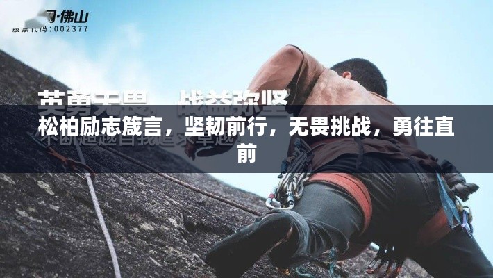 松柏勵(lì)志箴言，堅(jiān)韌前行，無畏挑戰(zhàn)，勇往直前