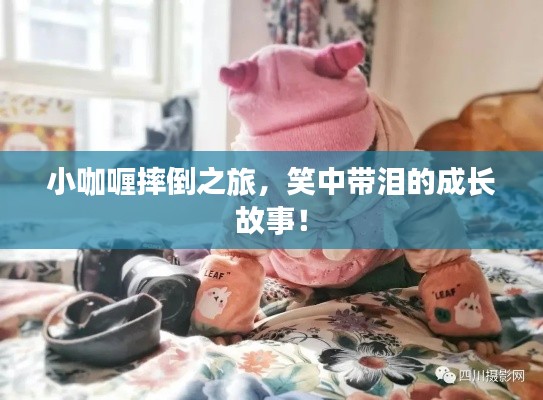 小咖喱摔倒之旅，笑中帶淚的成長(zhǎng)故事！