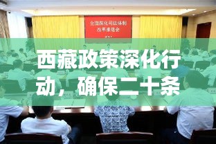 西藏政策深化行動(dòng)，確保二十條措施落地生根，成效顯著矚目