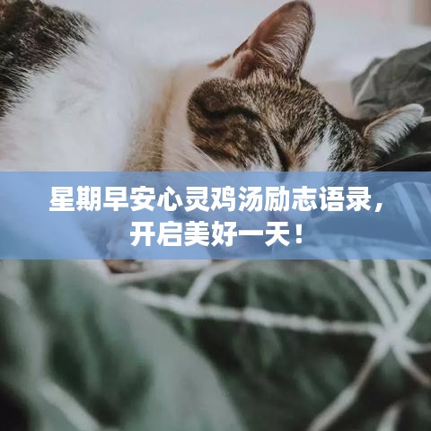 星期早安心靈雞湯勵志語錄，開啟美好一天！