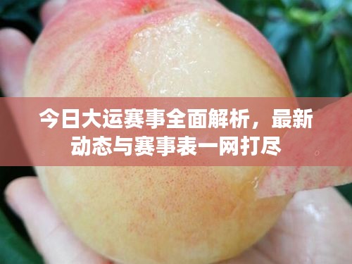 今日大運(yùn)賽事全面解析，最新動(dòng)態(tài)與賽事表一網(wǎng)打盡