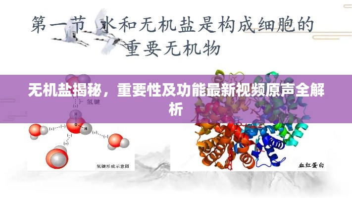 無(wú)機(jī)鹽揭秘，重要性及功能最新視頻原聲全解析