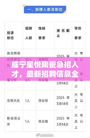 咸寧星悅陶瓷急招人才，最新招聘信息全解析