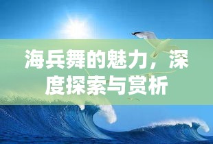 海兵舞的魅力，深度探索與賞析