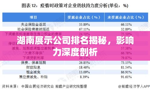 湖南展示公司排名揭秘，影響力深度剖析