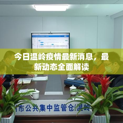 今日溫嶺疫情最新消息，最新動(dòng)態(tài)全面解讀