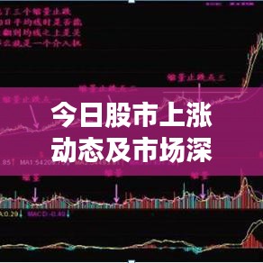 今日股市上漲動(dòng)態(tài)及市場(chǎng)深度解讀