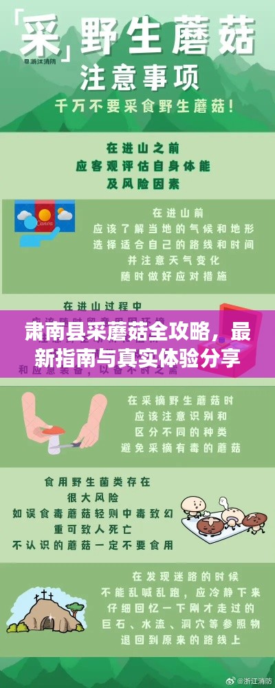 肅南縣采蘑菇全攻略，最新指南與真實(shí)體驗(yàn)分享