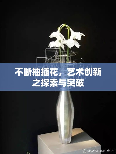 不斷抽插花，藝術創(chuàng)新之探索與突破