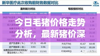 一絲不茍