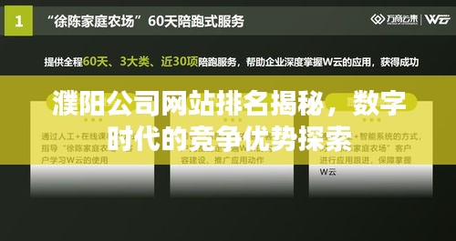 濮陽(yáng)公司網(wǎng)站排名揭秘，數(shù)字時(shí)代的競(jìng)爭(zhēng)優(yōu)勢(shì)探索