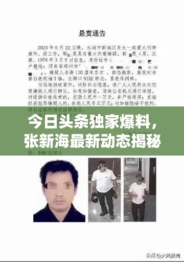 今日頭條獨(dú)家爆料，張新海最新動(dòng)態(tài)揭秘！