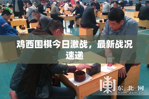 雞西圍棋今日激戰(zhàn)，最新戰(zhàn)況速遞