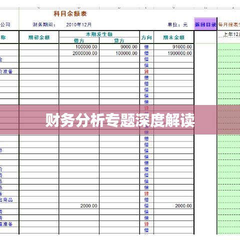 財(cái)務(wù)分析專(zhuān)題深度解讀