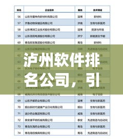 瀘州軟件排名公司，引領(lǐng)行業(yè)發(fā)展的技術(shù)力量標(biāo)桿