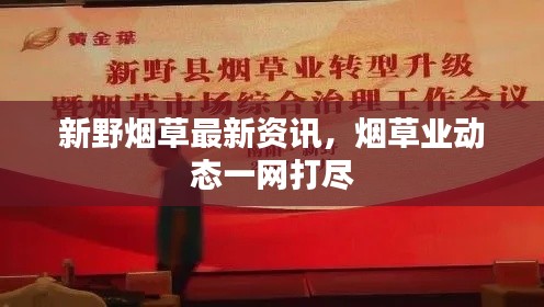 第13頁