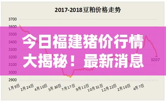 今日福建豬價行情大揭秘！最新消息一網(wǎng)打盡