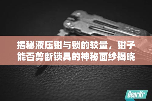 揭秘液壓鉗與鎖的較量，鉗子能否剪斷鎖具的神秘面紗揭曉！