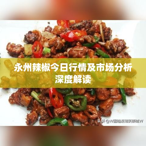 第8頁