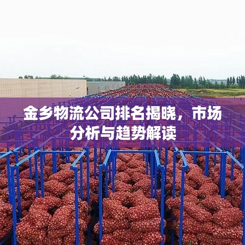 金鄉(xiāng)物流公司排名揭曉，市場(chǎng)分析與趨勢(shì)解讀